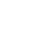 振翅