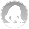 Mirage