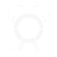 Magnetic Flux